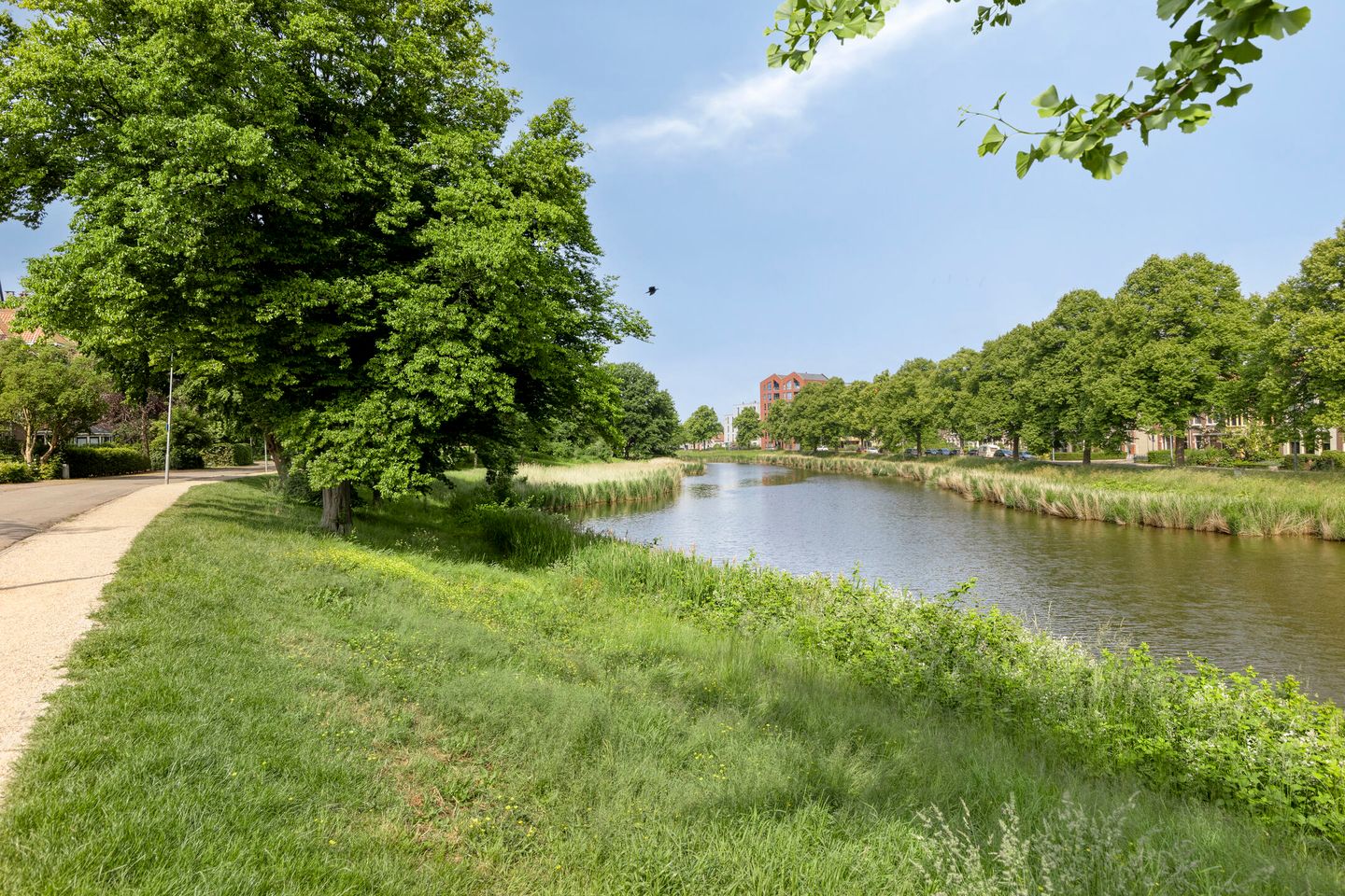 Foto 50 van Morksstraat 1