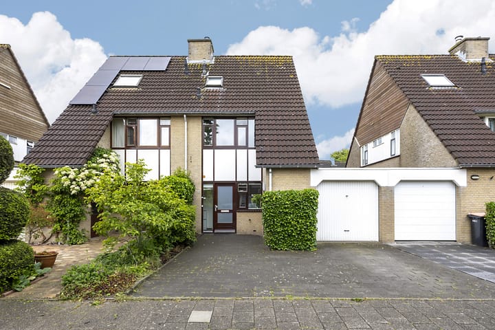 Foto 44 van Hollander 10