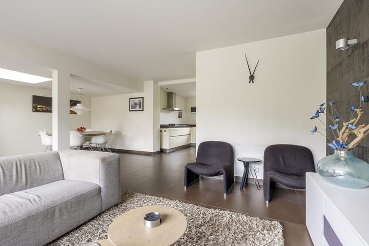 Foto 11 van Hollander 10