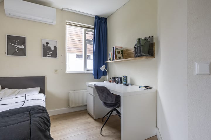 Foto 23 van Hollander 10