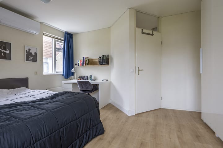 Foto 24 van Hollander 10