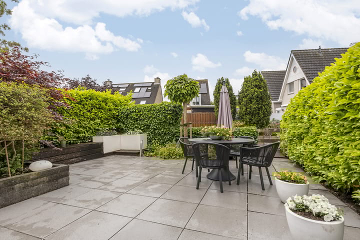 Foto 34 van Hollander 10