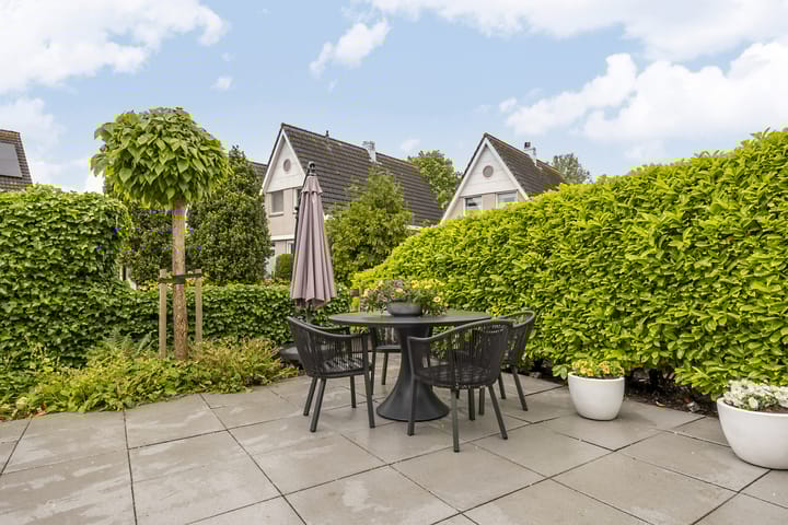 Foto 35 van Hollander 10