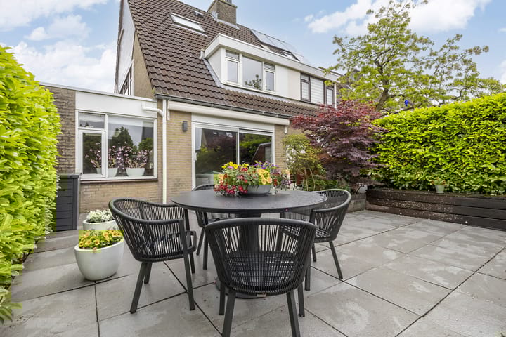 Foto 36 van Hollander 10