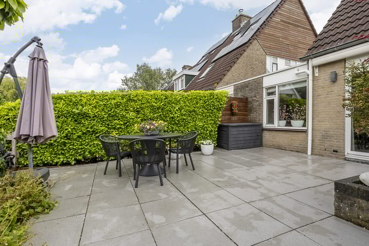 Foto 37 van Hollander 10