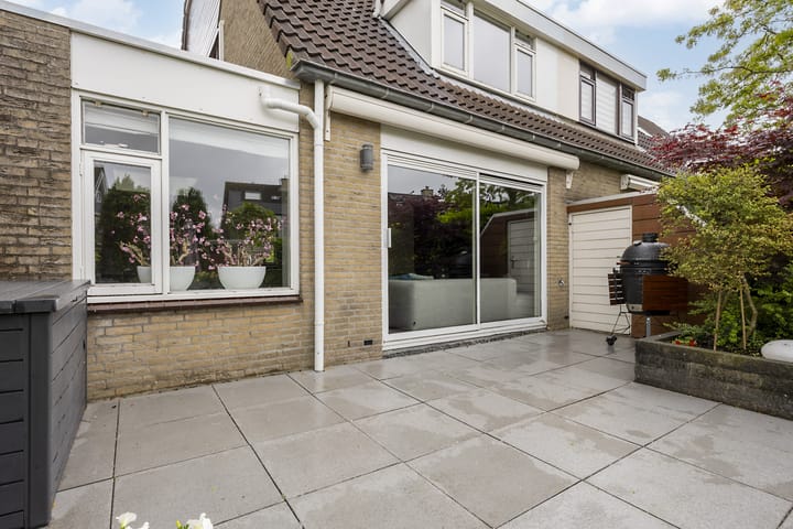 Foto 38 van Hollander 10