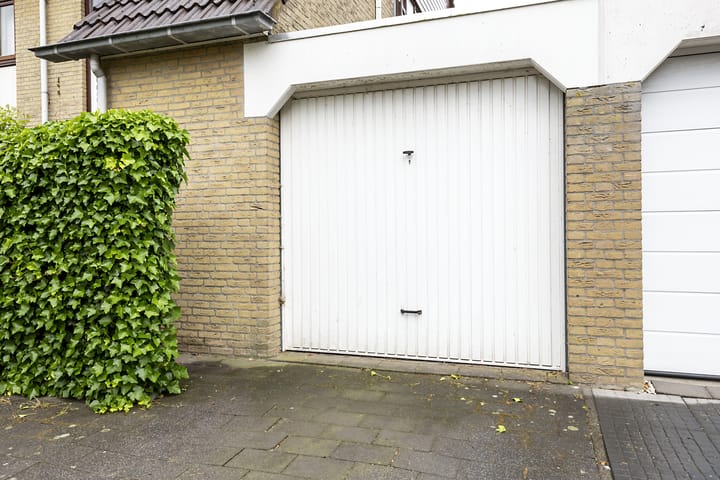 Foto 39 van Hollander 10