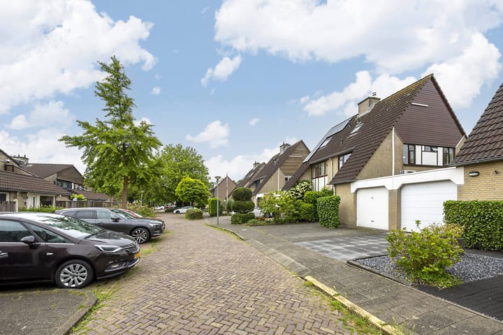 Foto 43 van Hollander 10