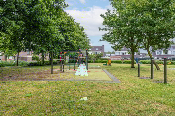 Foto 46 van Hollander 10