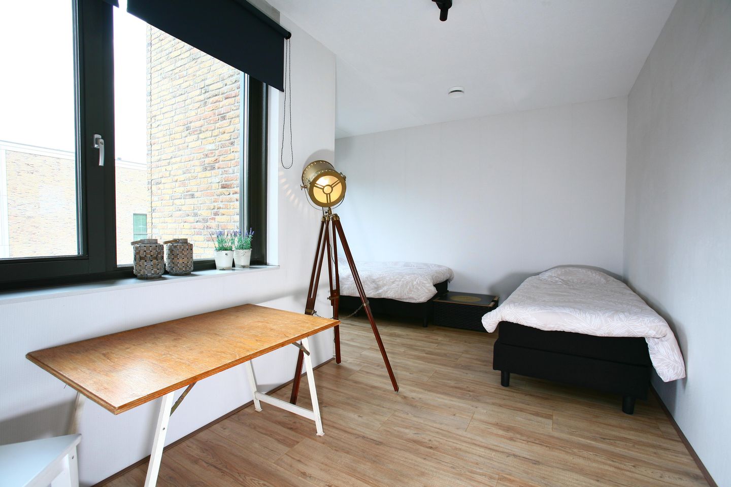 Photo 19 of Hagesteinstraat 5