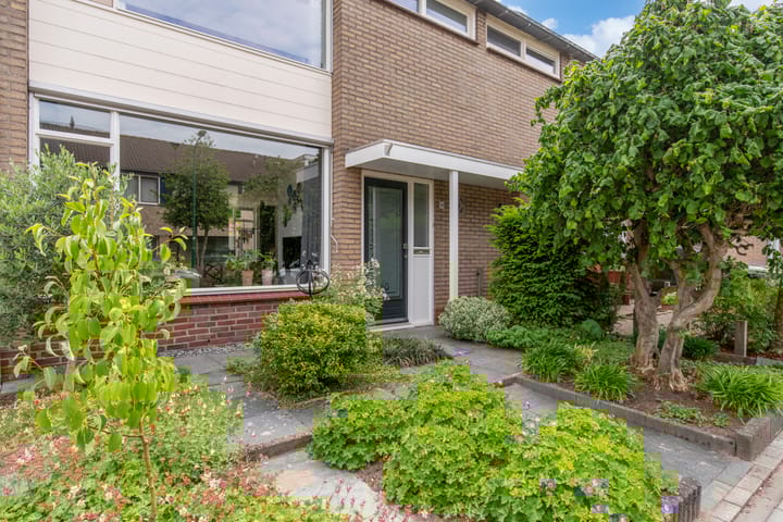 Foto 6 van Dissel 60