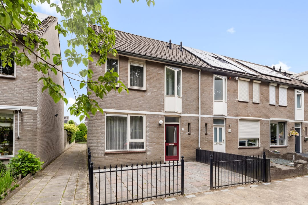 Photo 2 of Aragorn 61