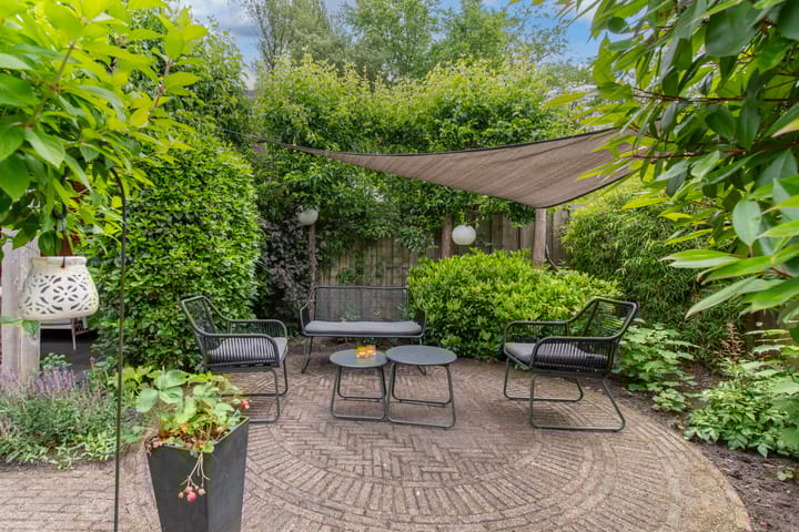 Foto 39 van Dissel 60