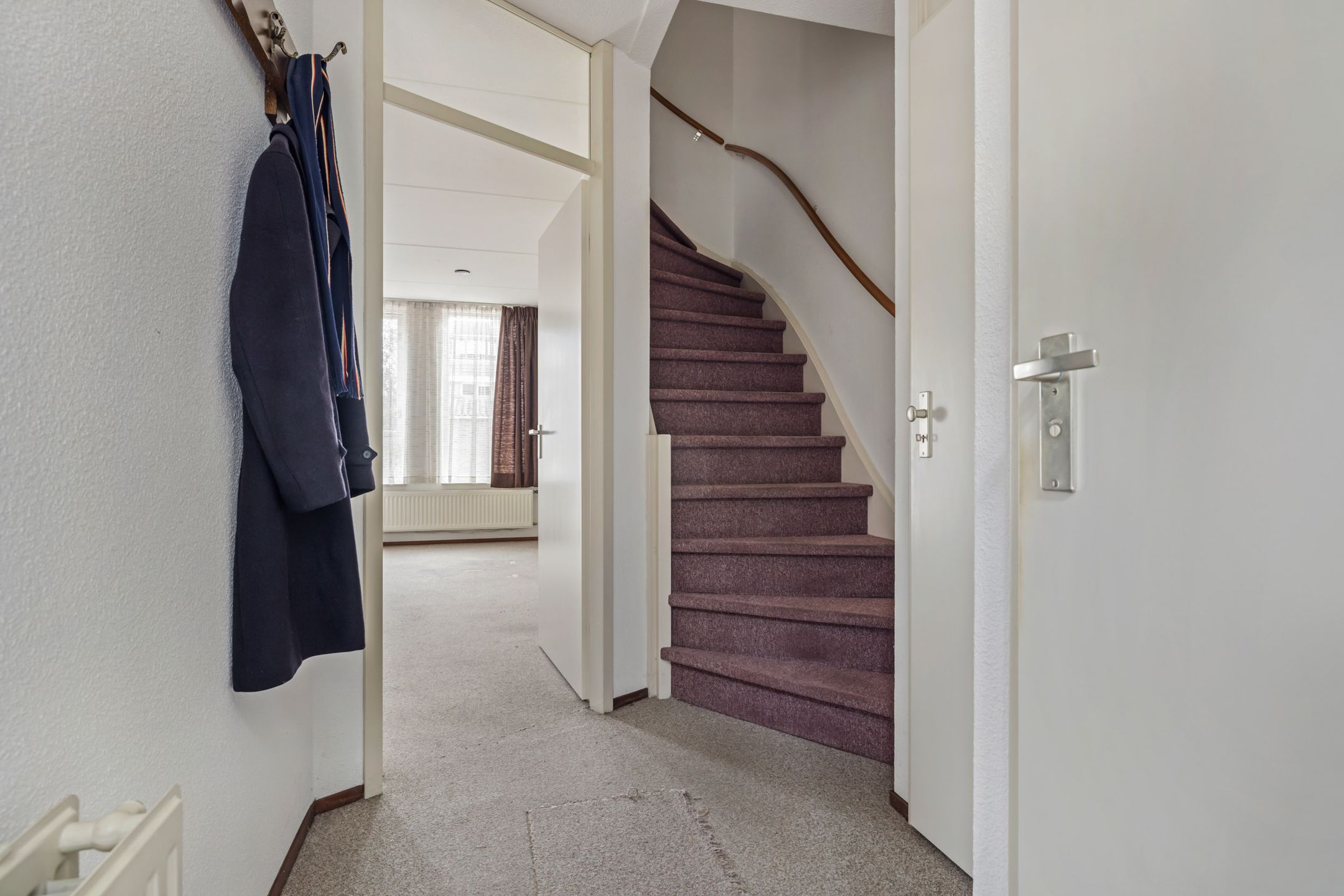 Photo 3 of Aragorn 61