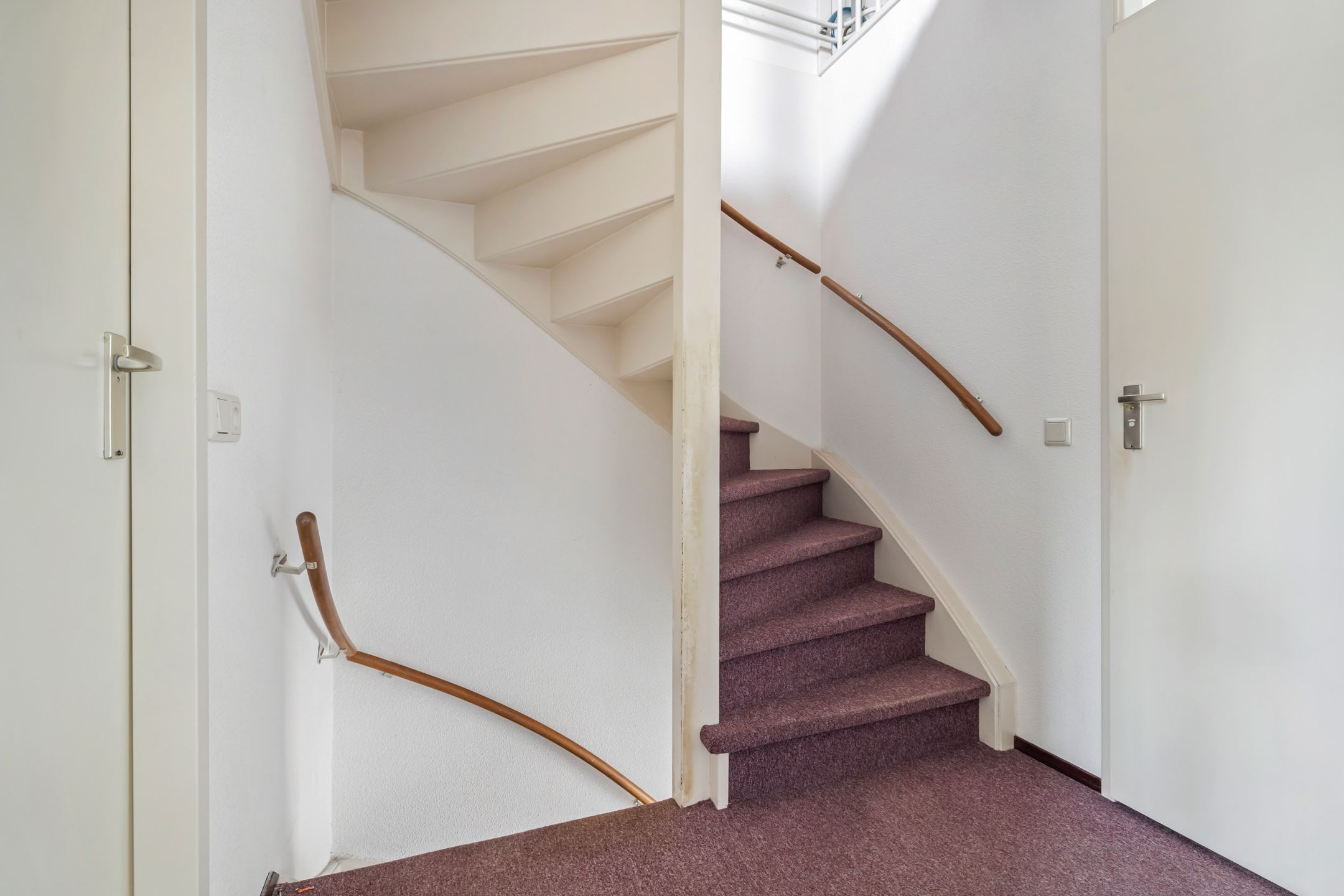 Photo 12 of Aragorn 61