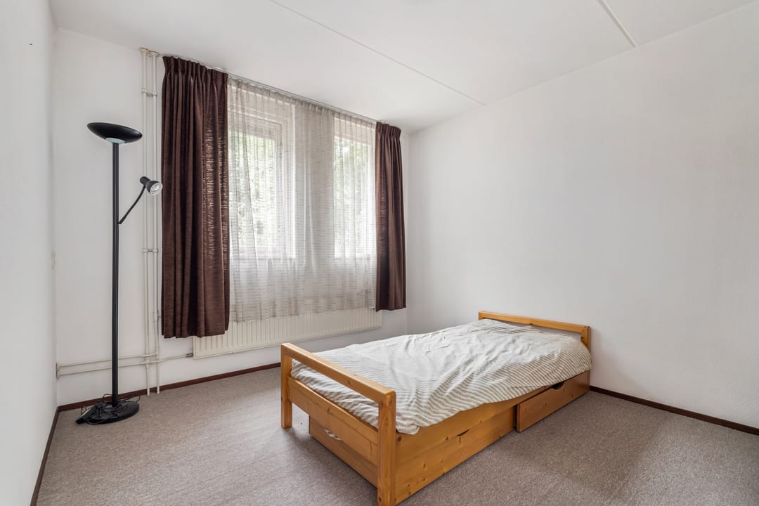 Photo 16 of Aragorn 61