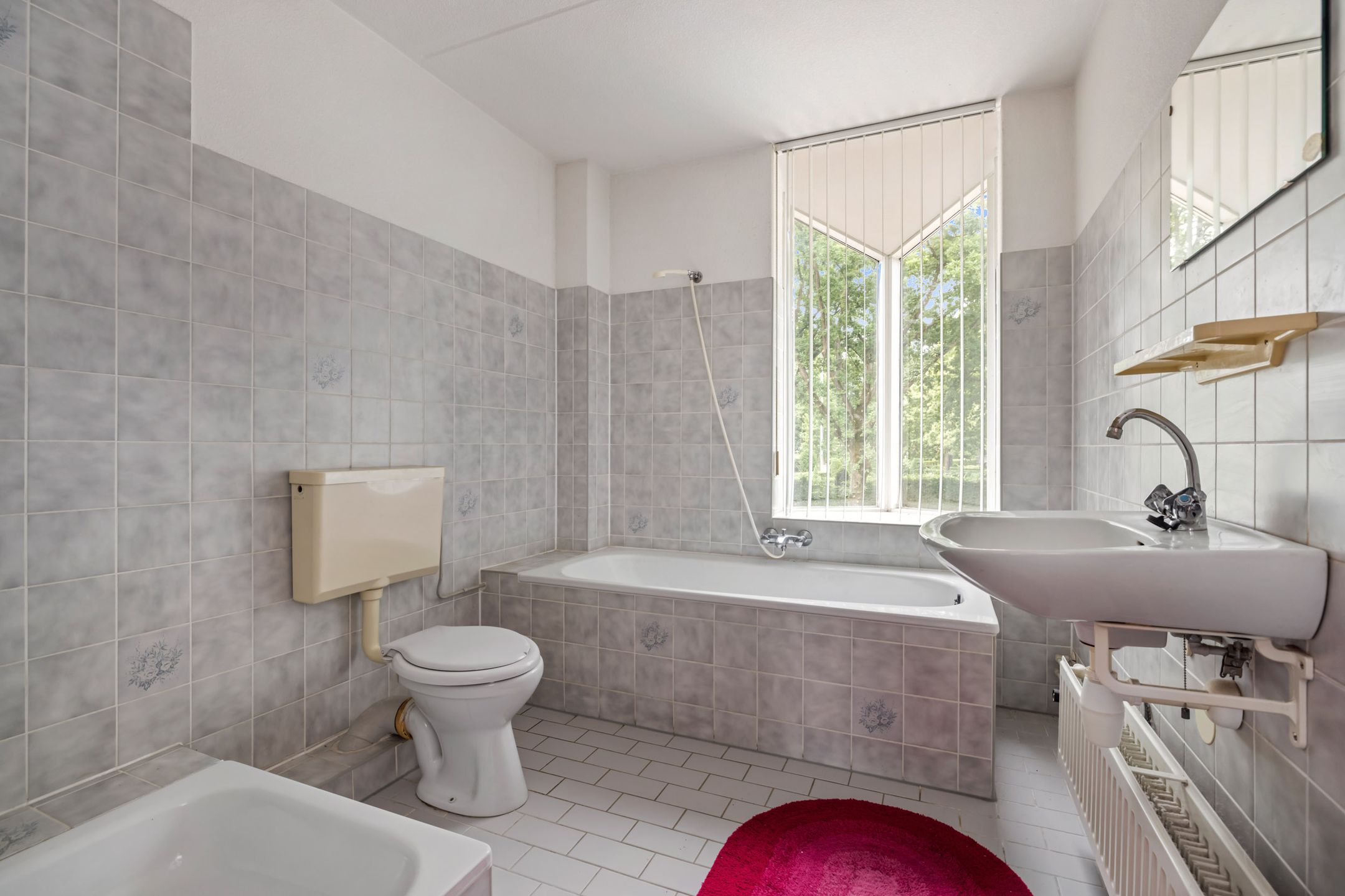 Photo 18 of Aragorn 61