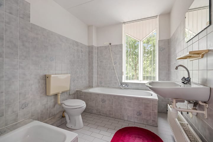 Foto 18 van Aragorn 61