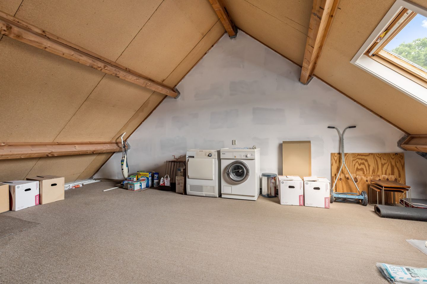 Photo 20 of Aragorn 61