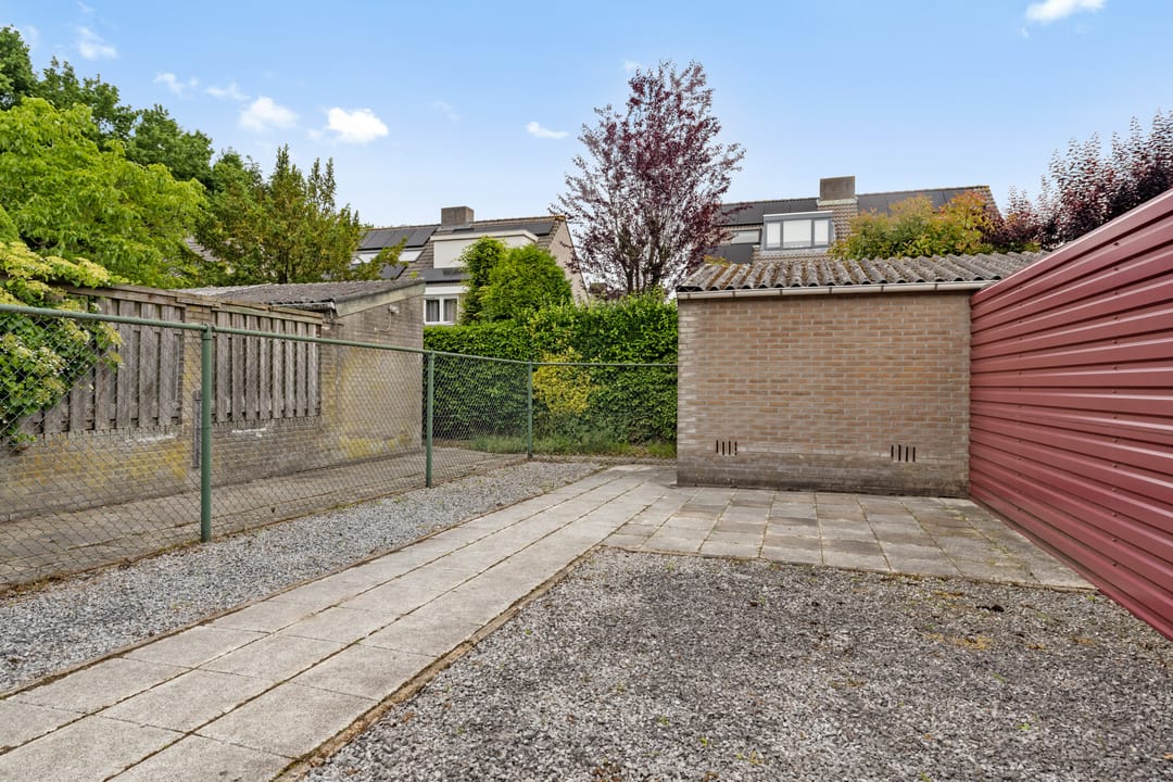 Photo 23 of Aragorn 61