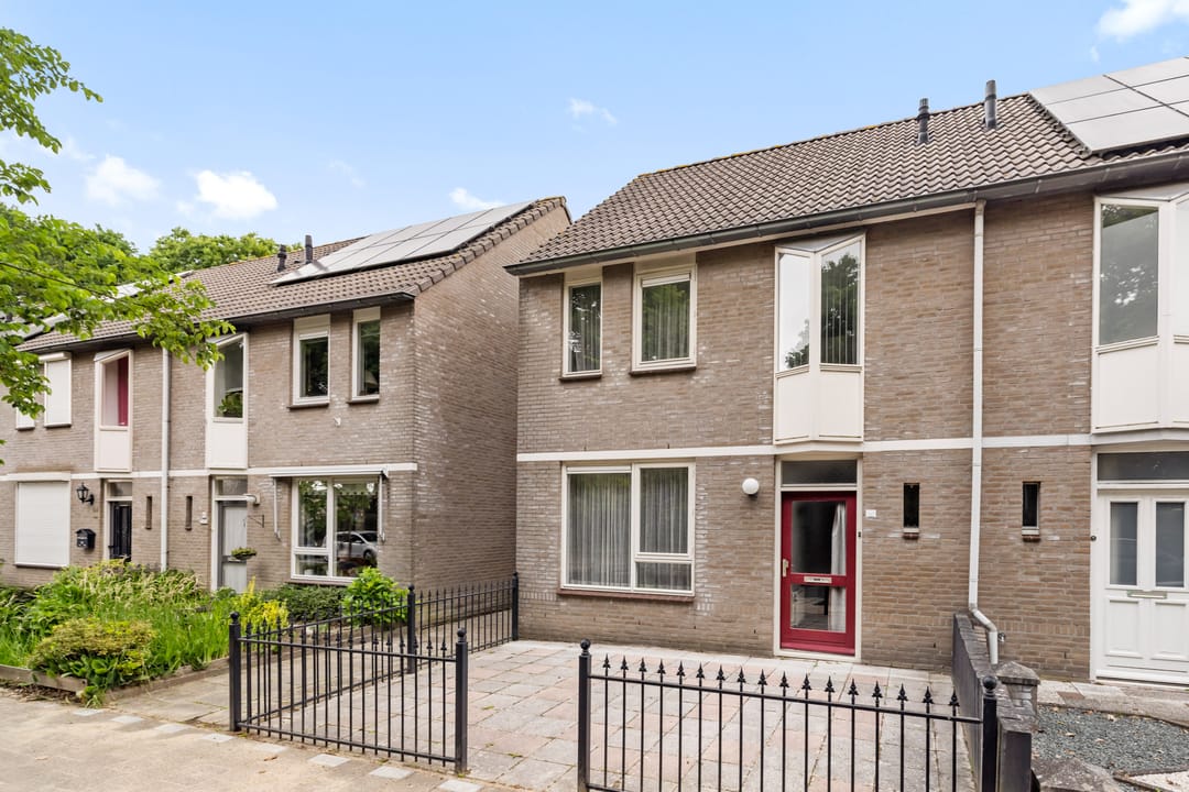 Photo 26 of Aragorn 61