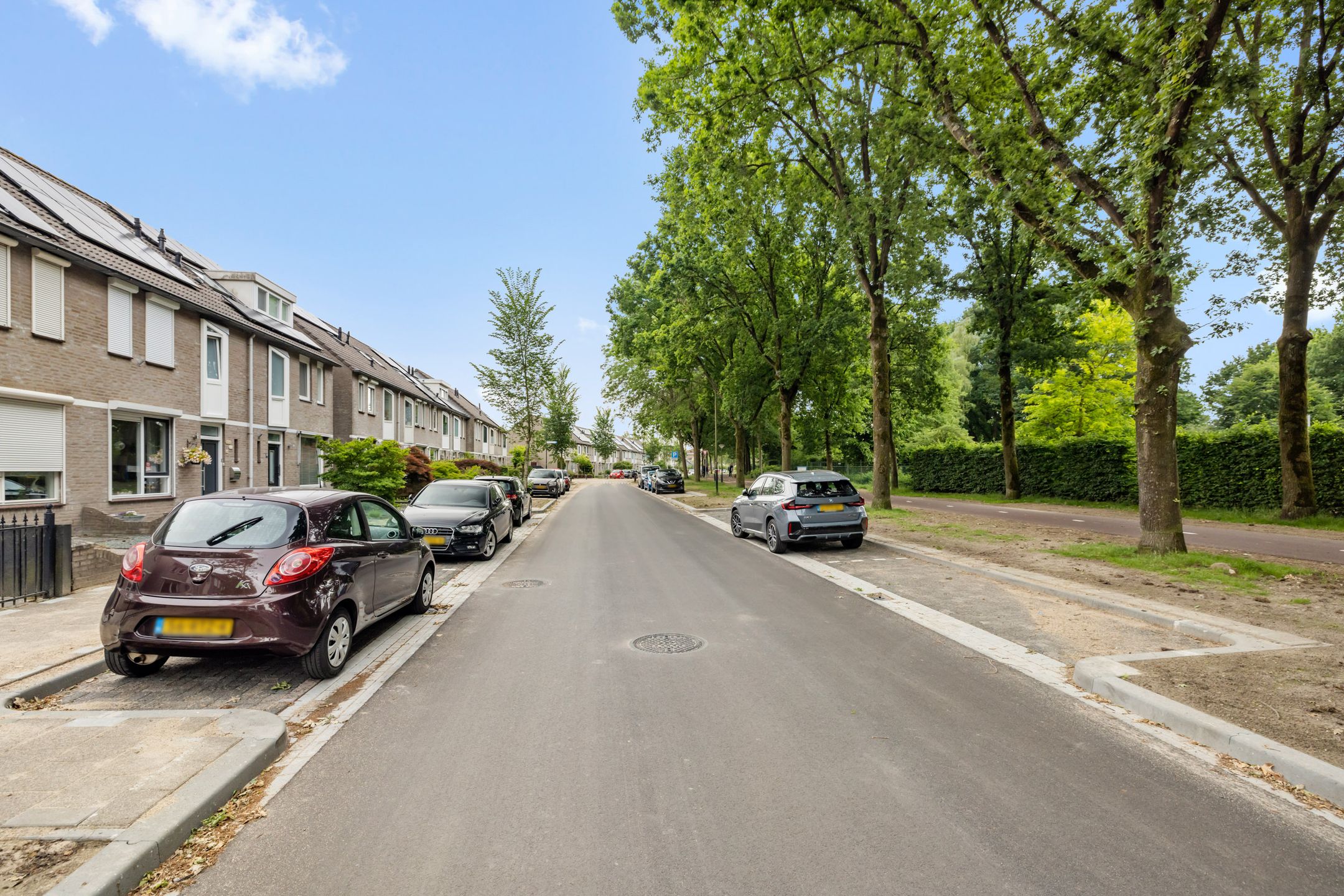 Photo 27 of Aragorn 61