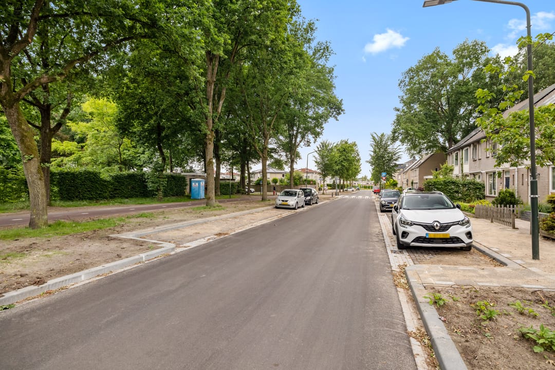 Photo 28 of Aragorn 61