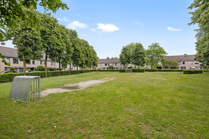 Foto 29 van Aragorn 61