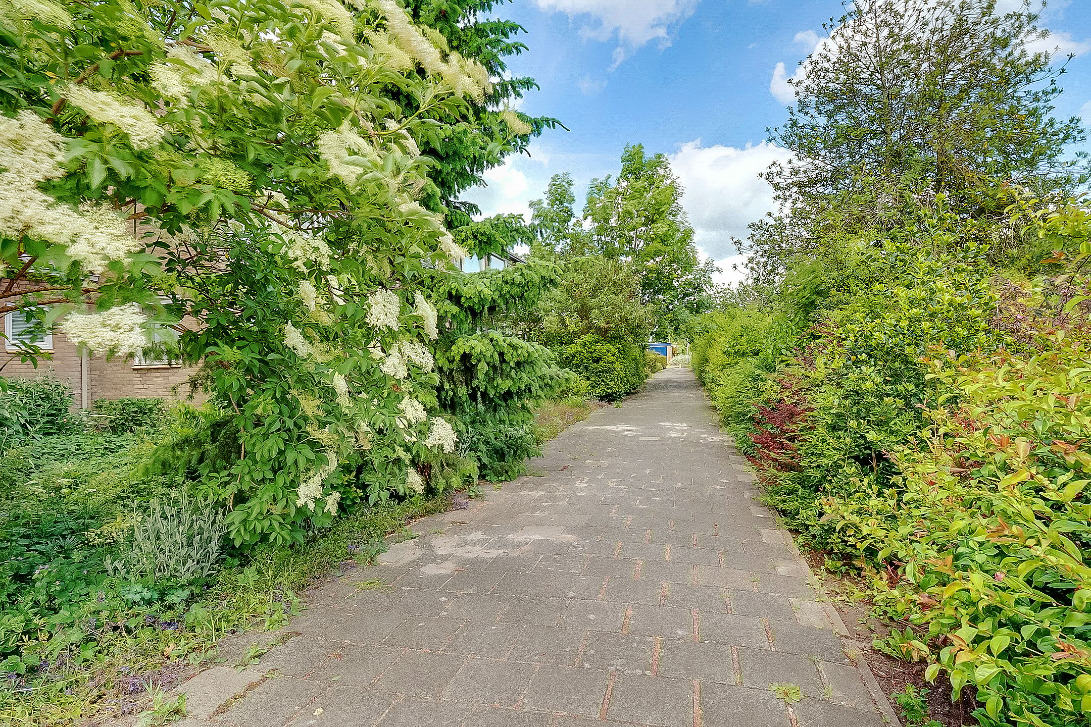 Foto 45 van Guido Gezellelaan 4