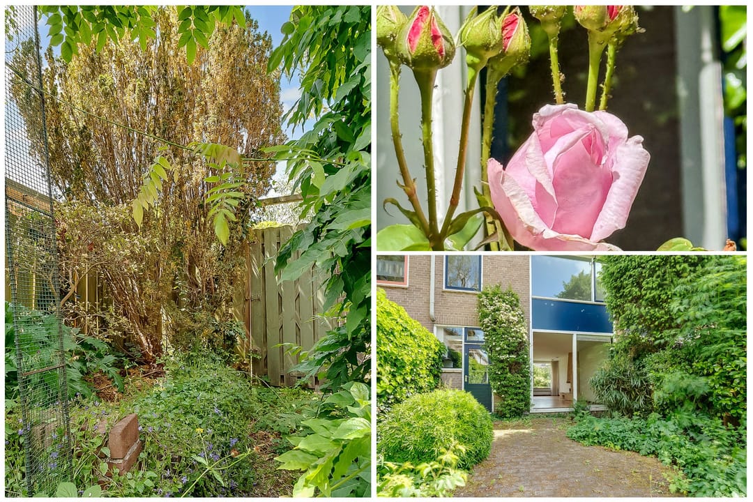 Foto 46 van Guido Gezellelaan 4