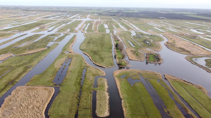 Photo 9 of Eilandspolder Kavel 837