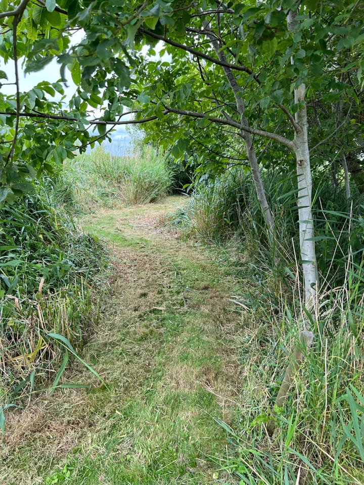 Photo 10 of Eilandspolder Kavel 837