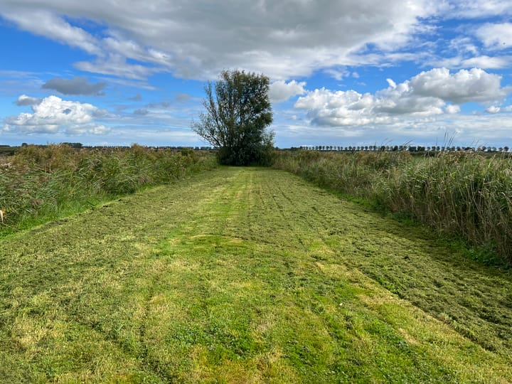 Photo 14 of Eilandspolder Kavel 837