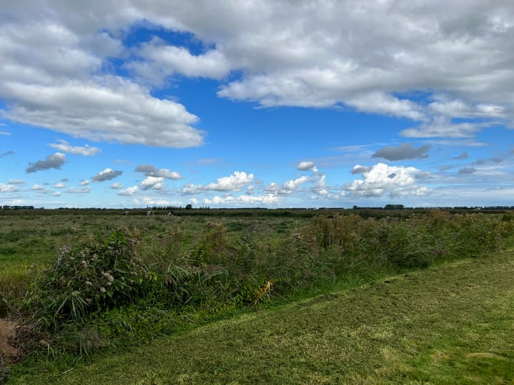 Photo 15 of Eilandspolder Kavel 837