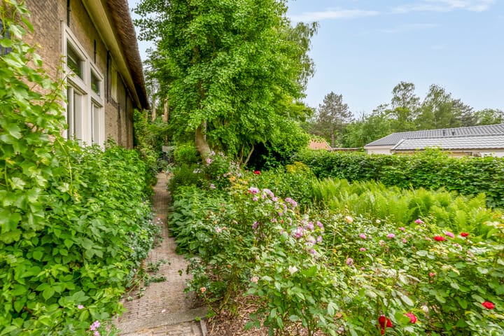 Foto 61 van IJsseldijk 238