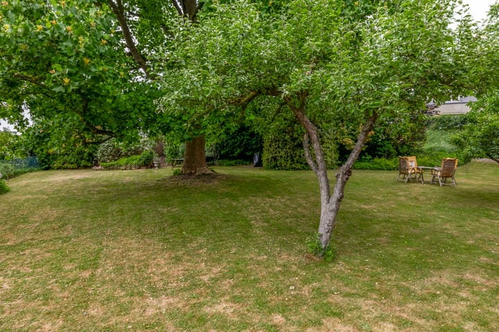 Foto 63 van IJsseldijk 238