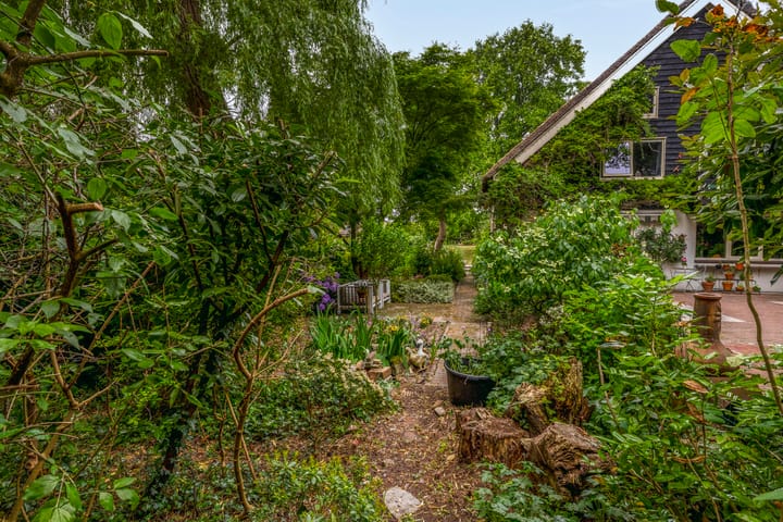 Foto 64 van IJsseldijk 238