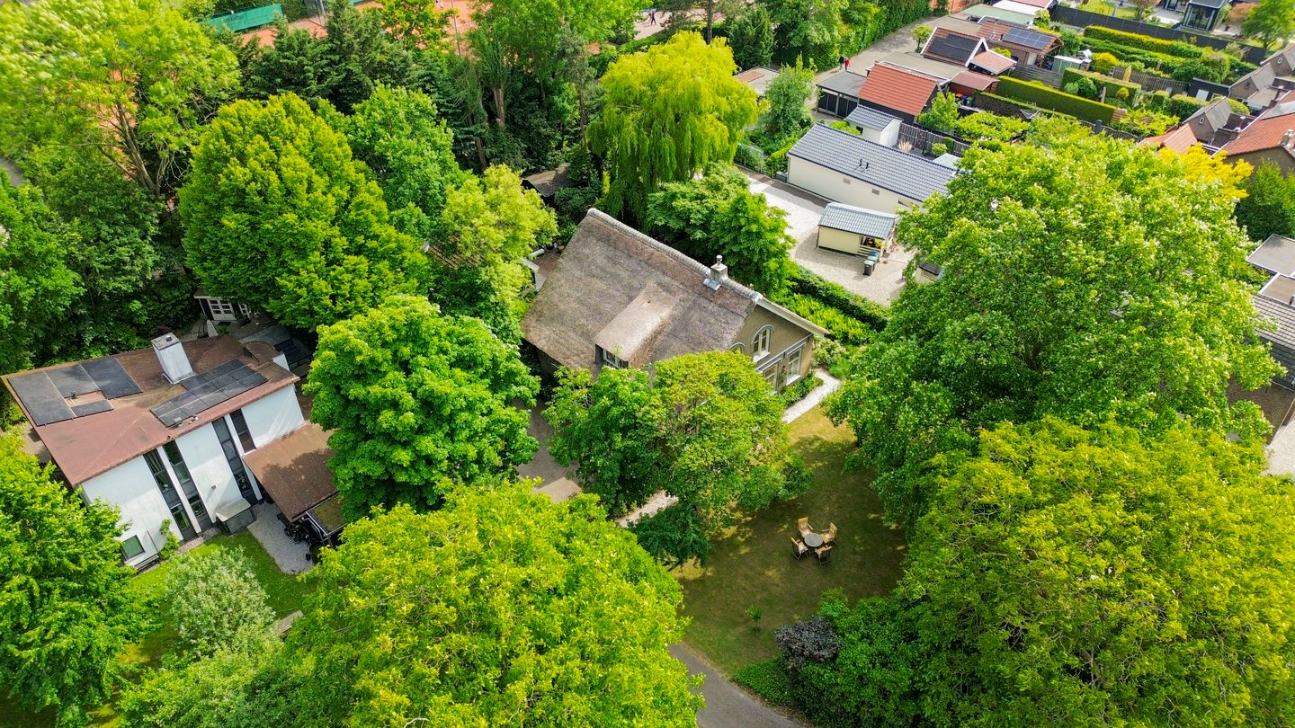 600.jpg?options=width=1440