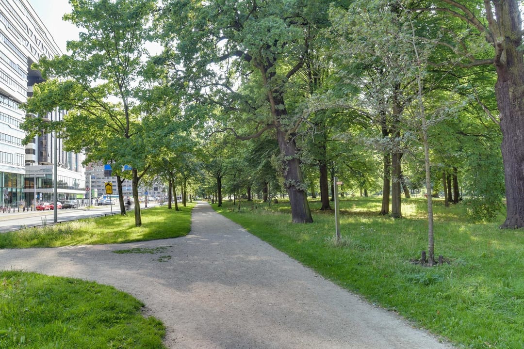 Foto 22 van Bezuidenhoutseweg 65-113