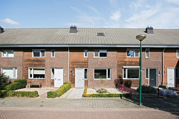 undefined main image