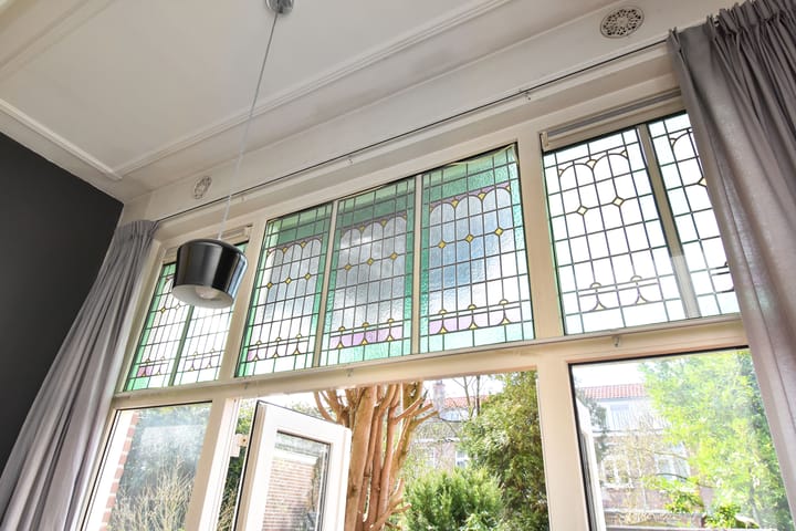 Photo 13 of Laan van Nieuw-Oost-Indië 195