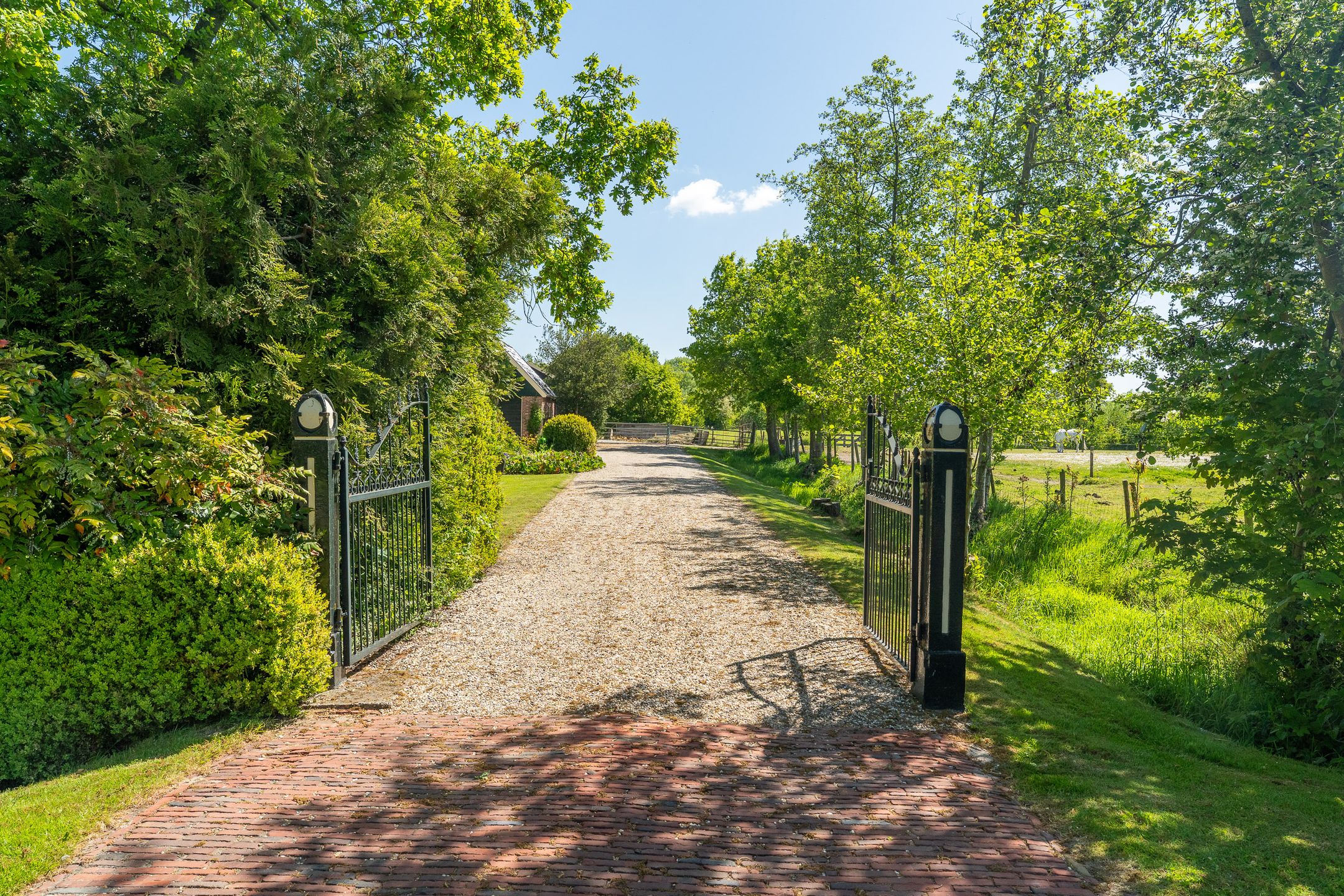 Photo 33 of Foarwei 1