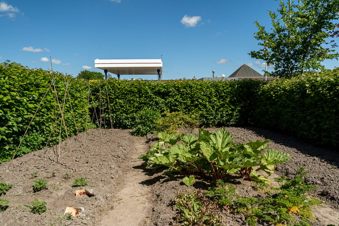 Photo 38 of Foarwei 1