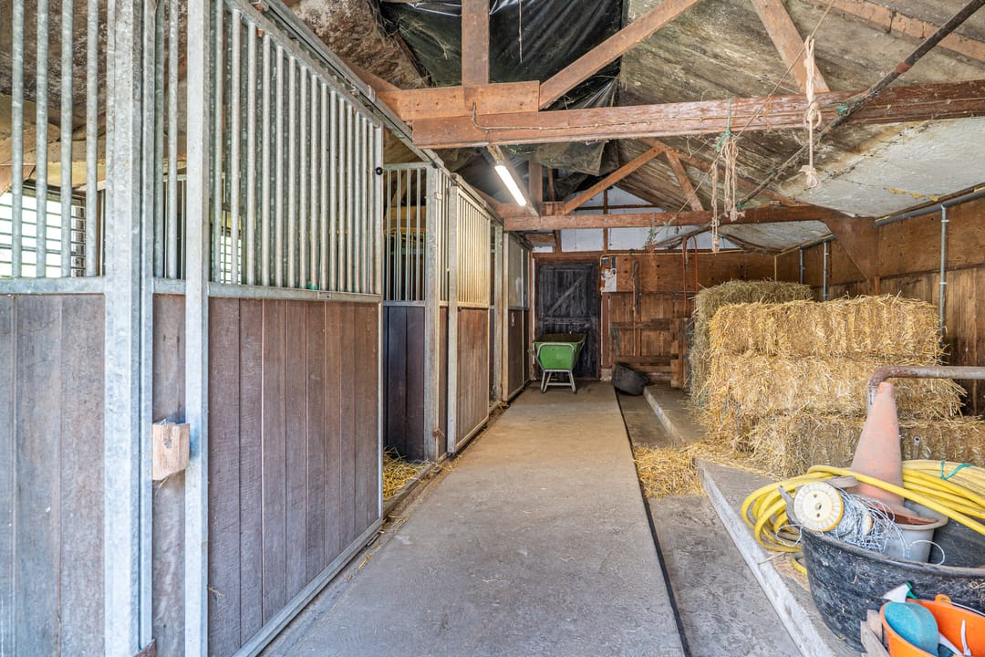 Photo 43 of Foarwei 1