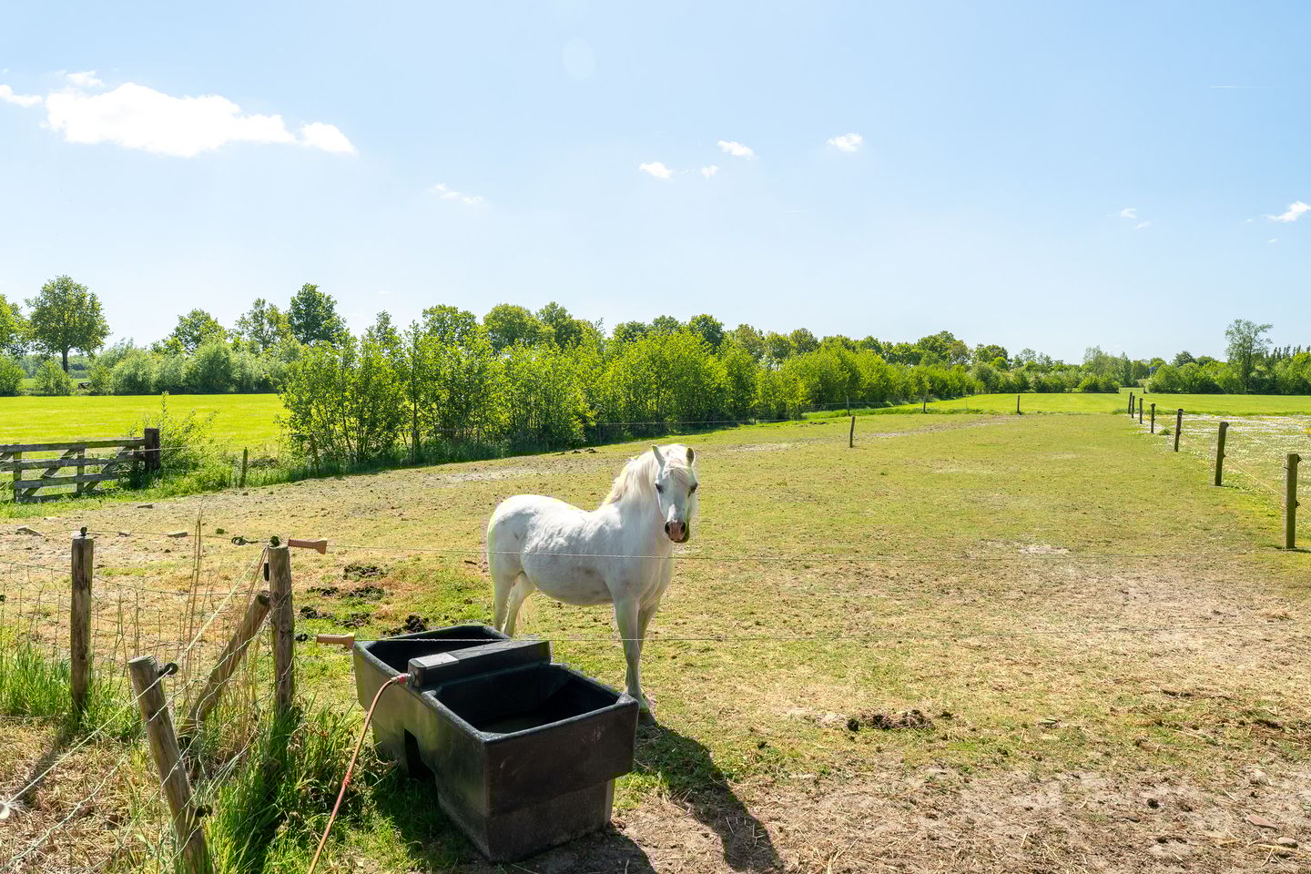 Photo 44 of Foarwei 1