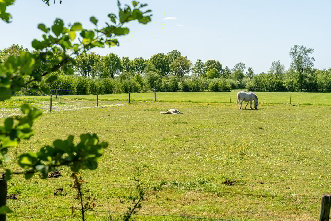 Photo 52 of Foarwei 1