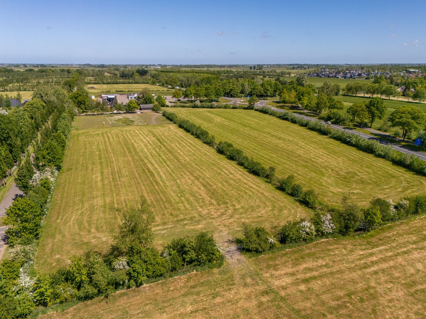 Photo 55 of Foarwei 1