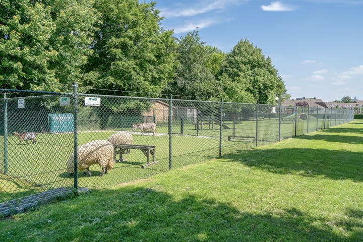 Photo 40 of de Zandkampen 76