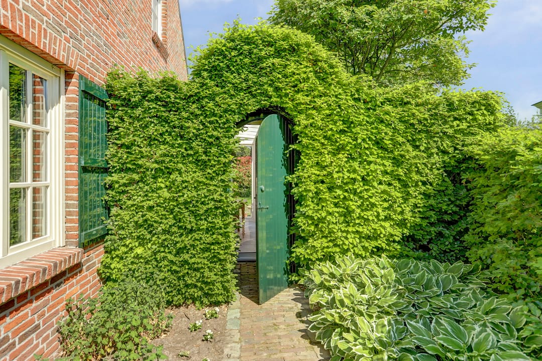 Photo 58 of Spoorpad 8