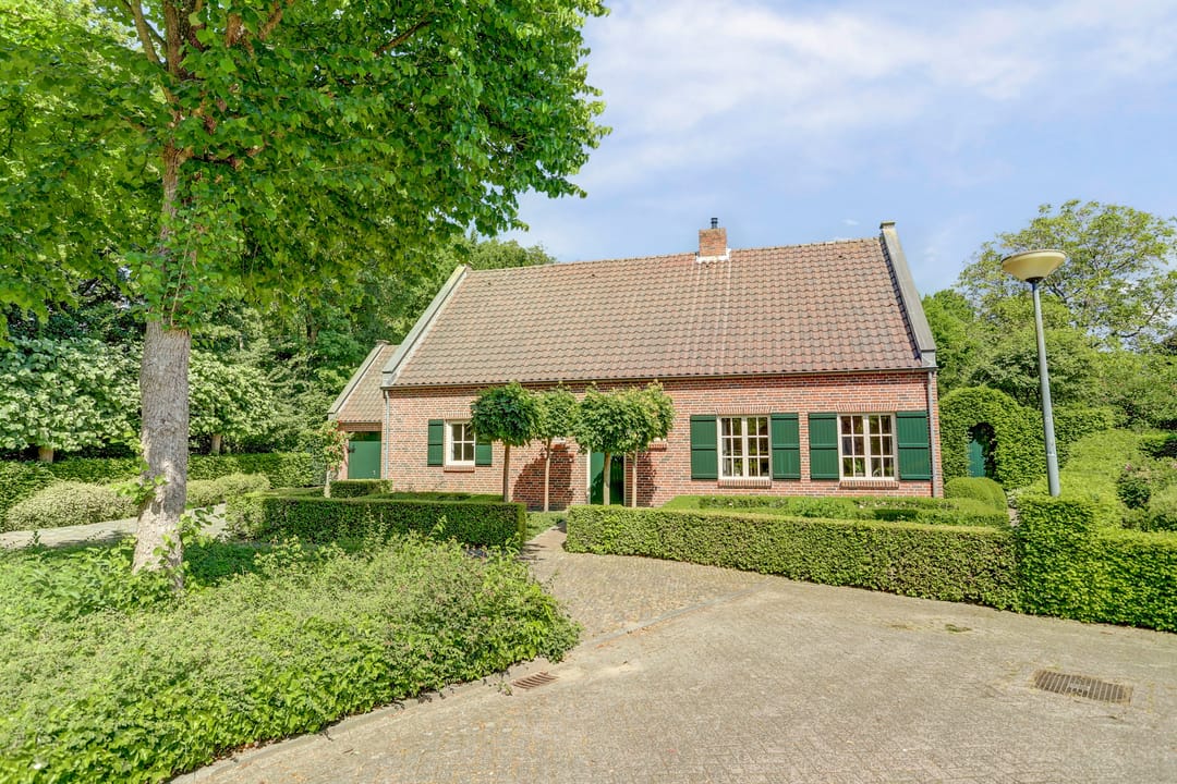 Photo 61 of Spoorpad 8